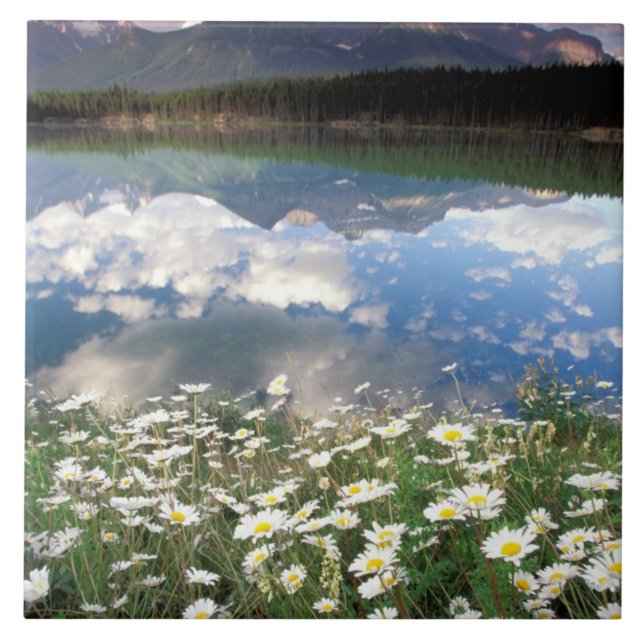 América do Norte, Canadá, Alberta, Parque Nacional (Frente)