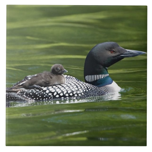 América do Norte, Canadá, Colúmbia Britânica, Lac  (Frente)