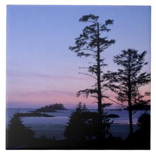 América do Norte, Canadá, Ilha de Vancouver, árvor