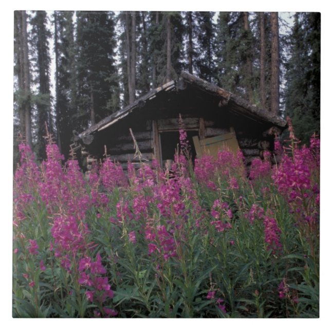 América do Norte, Canadá, Yukon. Armadores abandon (Frente)