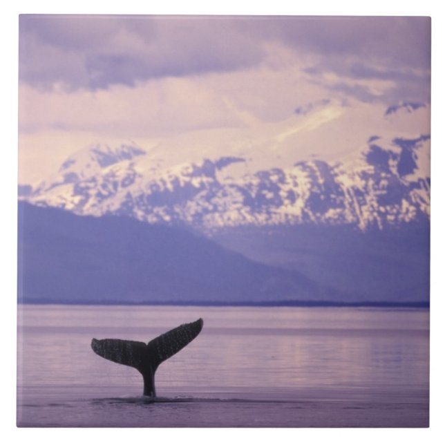 América do Norte, EUA, Alasca, Dentro Passage. (Frente)