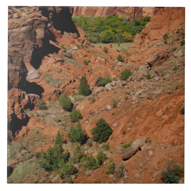 América do Norte, EUA, Arizona, índio Navajo (Frente)