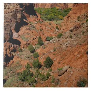 América do Norte, EUA, Arizona, Navajo Indian