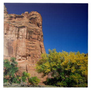 América do Norte, EUA, Arizona, Navajo Indiano 3