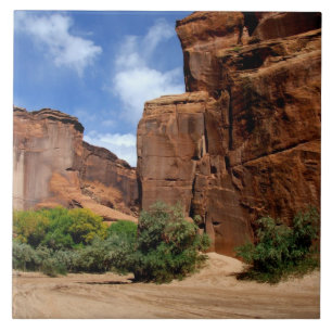 América do Norte, EUA, Arizona, Navajo Índio 5
