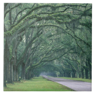 América do Norte, EUA, Geórgia, Savannah,