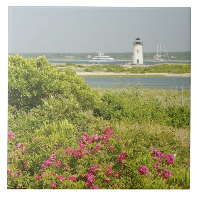 América do Norte, EUA, Massachusetts, Martha's (Frente)