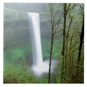América do Norte, EUA, Oregon, Silver Falls State