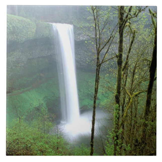 América do Norte, EUA, Oregon, Silver Falls State (Frente)