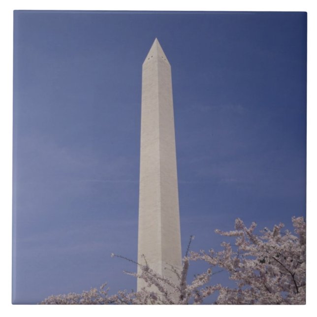 América do Norte, EUA, Washington D.C.. Washington (Frente)