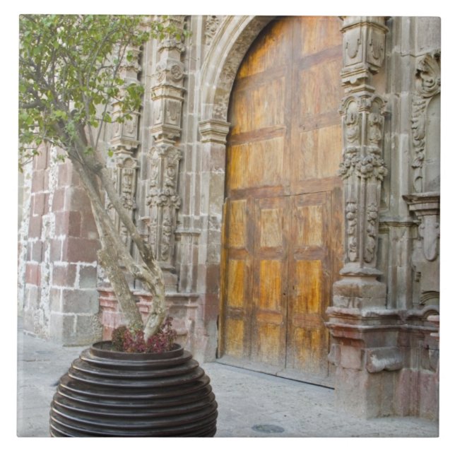 América do Norte, México, estado de Guanajuato, Sa (Frente)