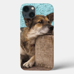 América do Sul, Chile, Valparaíso. alemão