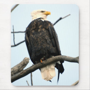 American Bald Eagle Mousepad