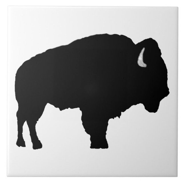 American Bison (Frente)