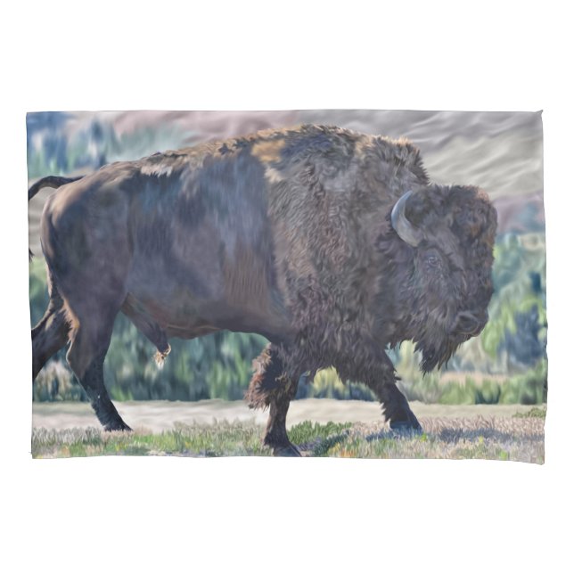 American Bison Roaming no Grassland Setting (Frente)