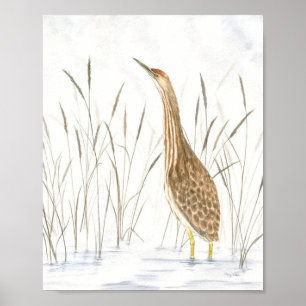 American Bittern Fine Art Impressão