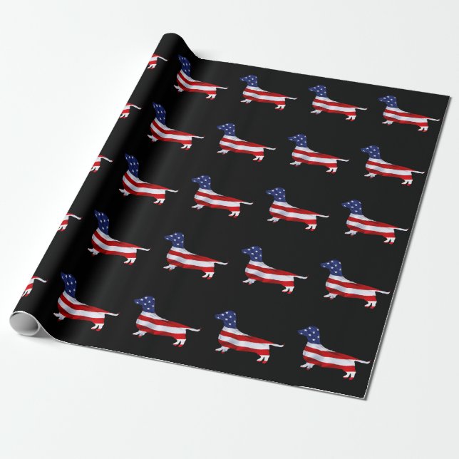 American Dachshund sobre papel de embrulho preto (Desenrolado)