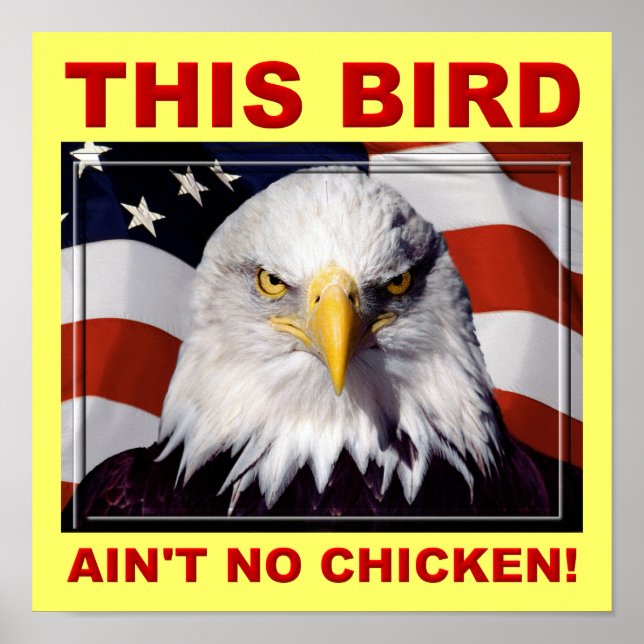 American Eagle Ain't No Chicken Poster Sinal (Frente)