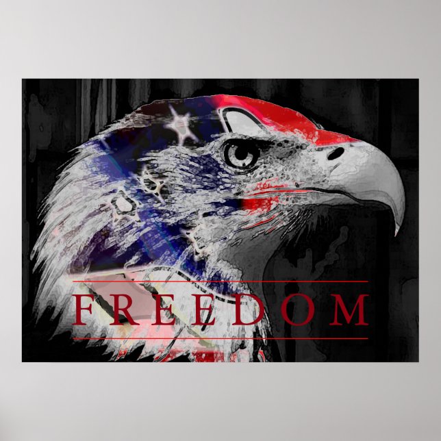 American Flag Freedom American Eagle Poster (Frente)