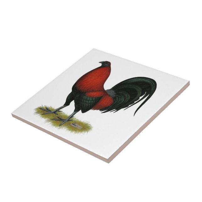American Game BB Black Red Rooster (Lateral)