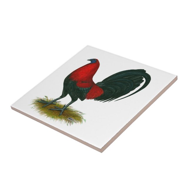 American Gamecock: Marrom Vermelho (Lateral)