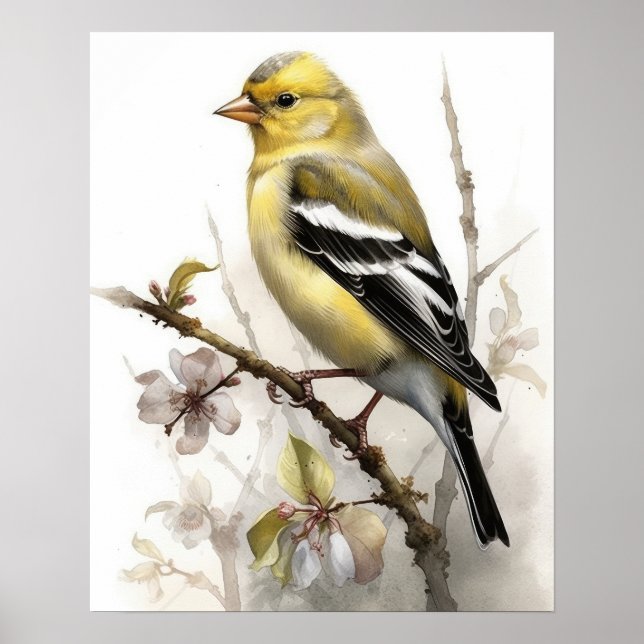 American Goldfinch Bird Art Impressão (Frente)