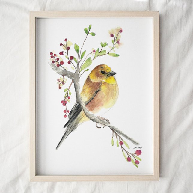 American Goldfinch Bird Watercolor Art Impressão (Criador carregado)