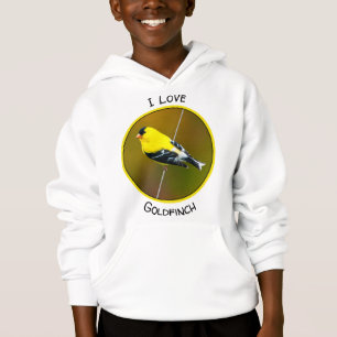 American Goldfinch - Fotografia original