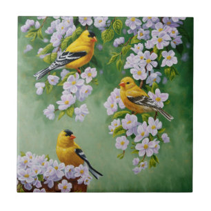 American Goldfinches & Pink Apple Blossoms