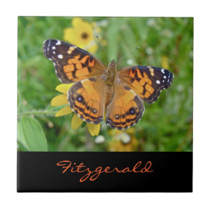 American Lady Butterfly - Vanessa virginiensis