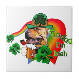 American Pit Bull Terrier St Patricks