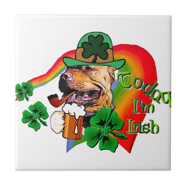 American Pit Bull Terrier St Patricks (Frente)