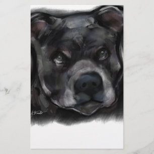American Staffordshire Terrier