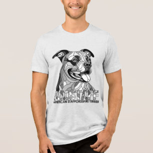 American Staffordshire Terrier - Amstaff