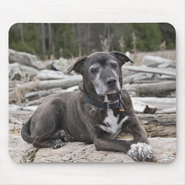American Staffordshire Terrier - Mousepad (Frente)