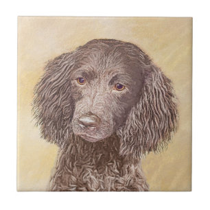 American Water Spaniel Painting - Arte Original de