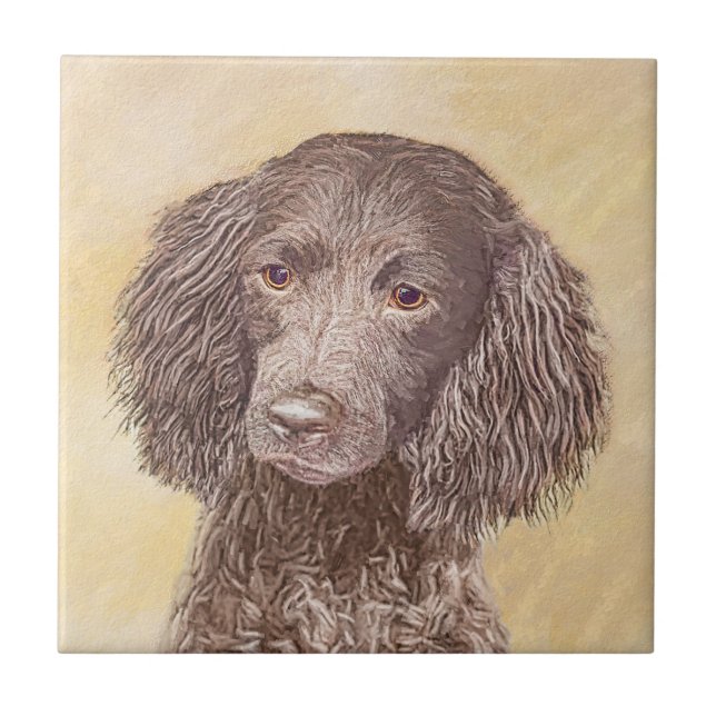 American Water Spaniel Painting - Arte Original de (Frente)