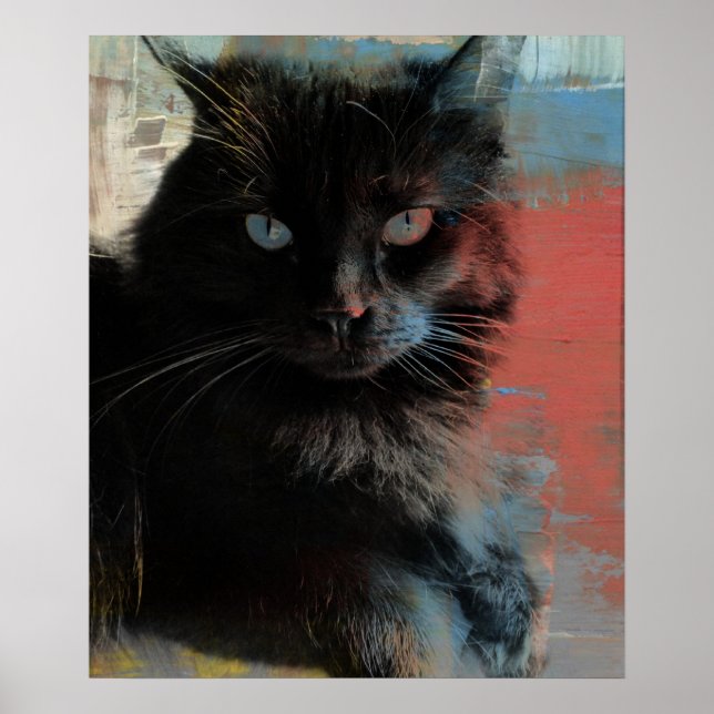Americana Black Cat, Folk Art Poster (Frente)