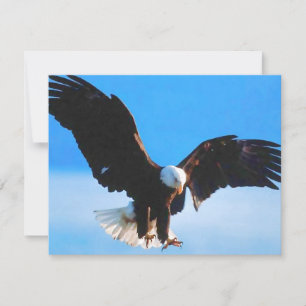 Americano calvo Eagle