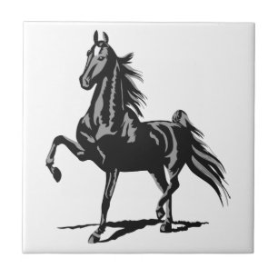 Americano Saddlebred