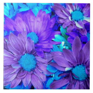 Ametist Purple e Turquesa Blue Daisies