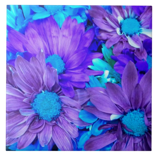 Ametist Purple e Turquesa Blue Daisies (Frente)