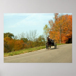 Amich Buggy Impressão