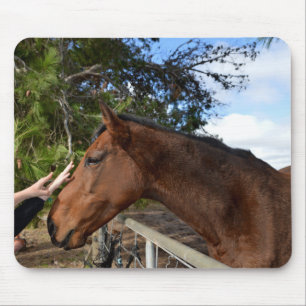 Amigo do Cavalo para sempre, Mousepad