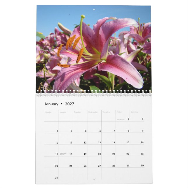 AMIGOS! Calendário Lírios Flores Presentes de Nata (Jan 2027)