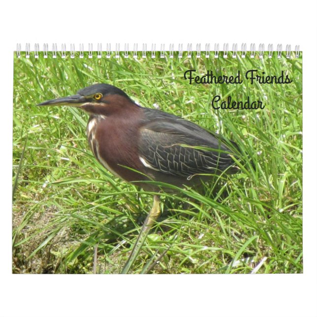 Amigos com penas - Calendário de pássaros (Capa)