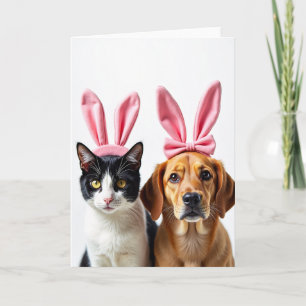 Amigos Diversão Cartão de Gato e Cachorro