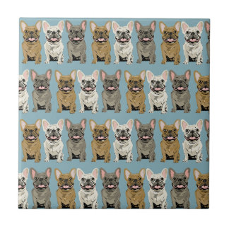 Amigos Frenchie