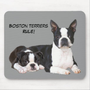 Amigos Mousepad de Boston Terrier