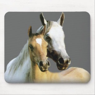 Amigos Mousepad do cavalo